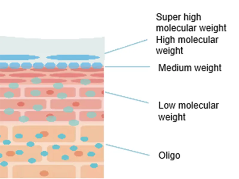 Multiple Sodium Hyaluronate Solution for Multiple Moisturizing