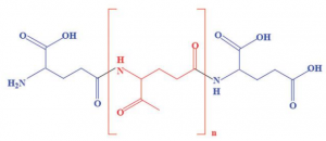 Wersja 1